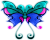 butterfly501